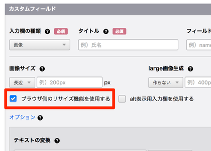 (スクリーンショット)カスタムフィールドメーカーにあるブラウザ側のリサイズ機能を使用するのチェックボックス